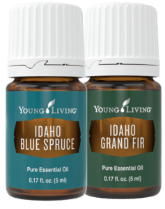 Idaho Blue Spruce & Grand Fir